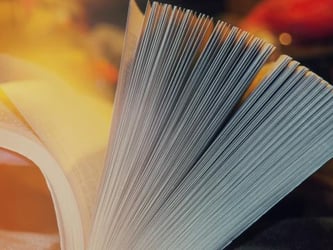 aantal-paginas-featured