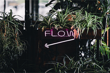 writing flow uitgelicht